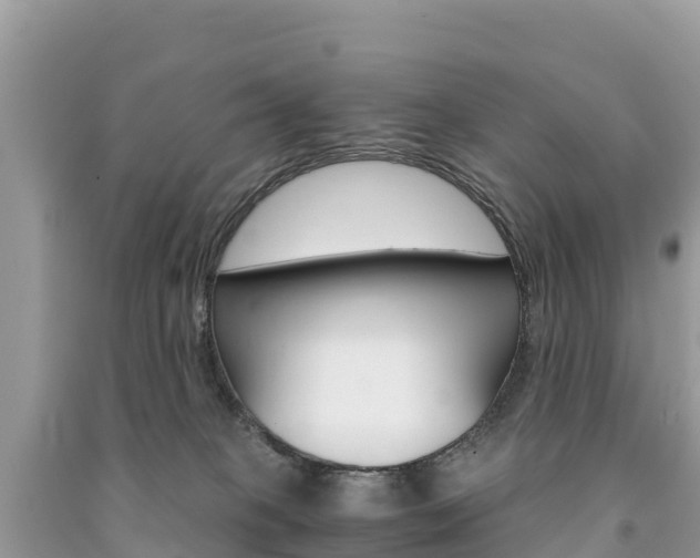 X0000091300085200708101057