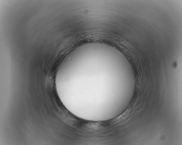 X0000091300086200708101057