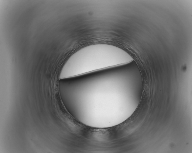 X0000091300087200708101057