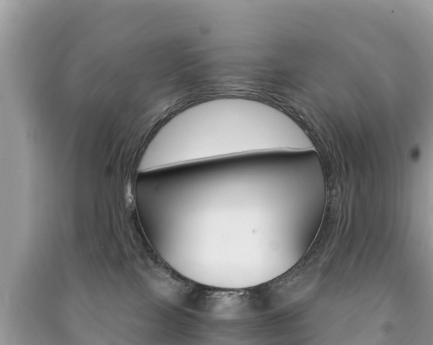 X0000091300089200708101057