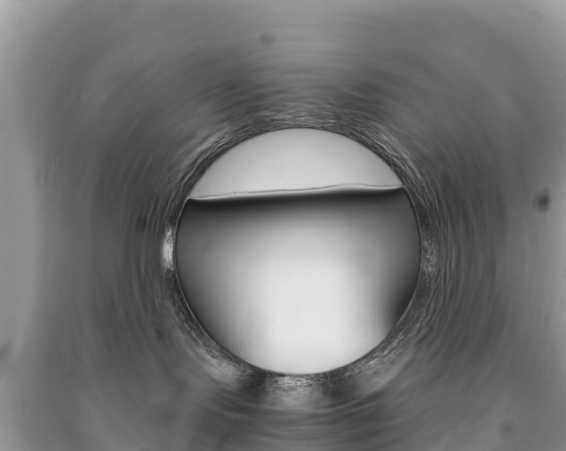 X0000091300095200708101057