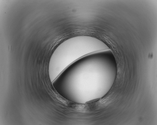 X0000091300096200708101057