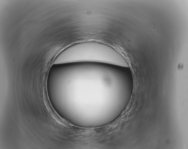 X0000091300097200708101056