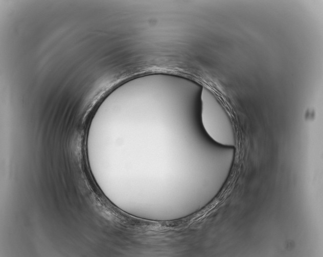 X0000091300098200708101056