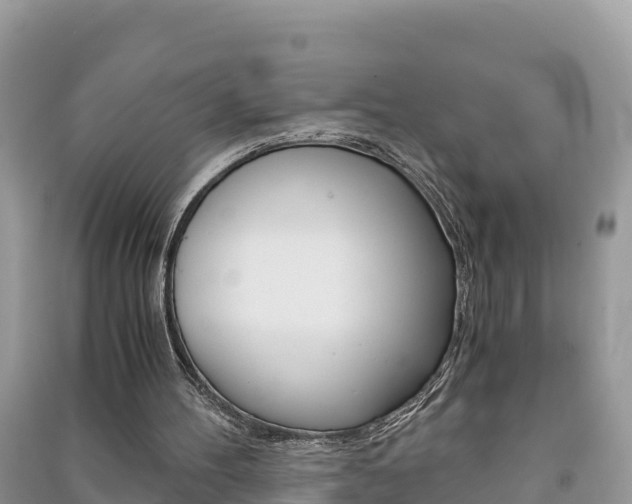 X0000091300100200708101056