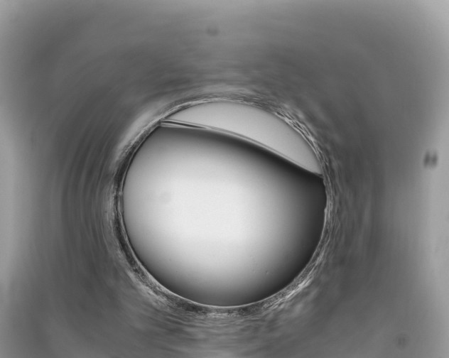 X0000091300101200708101056
