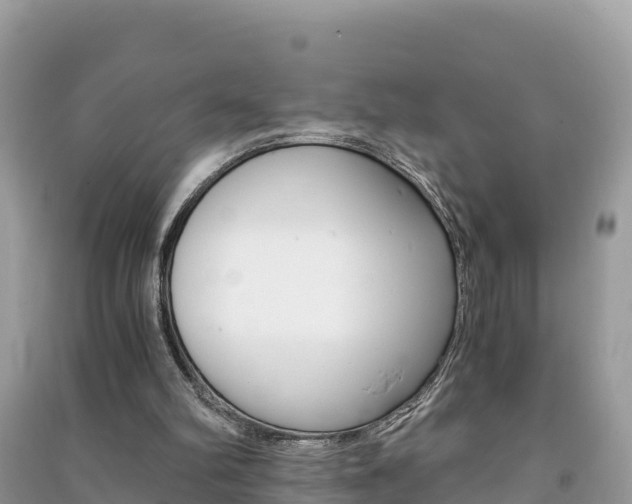 X0000091300102200708101056