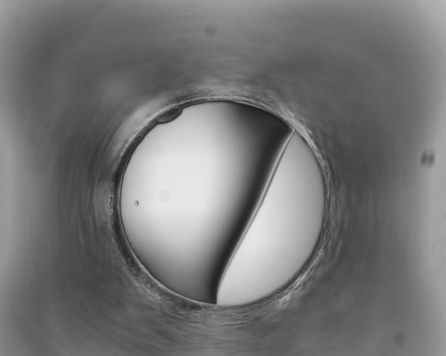 X0000091300103200708101056