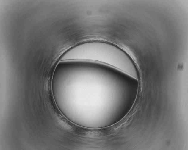 X0000091300105200708101056