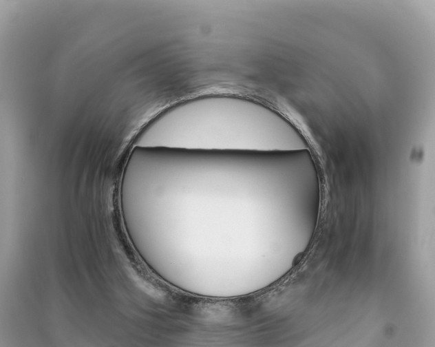 X0000091300106200708101056