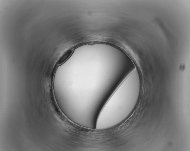 X0000091300107200708101056