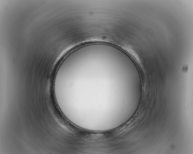 X0000091300108200708101056