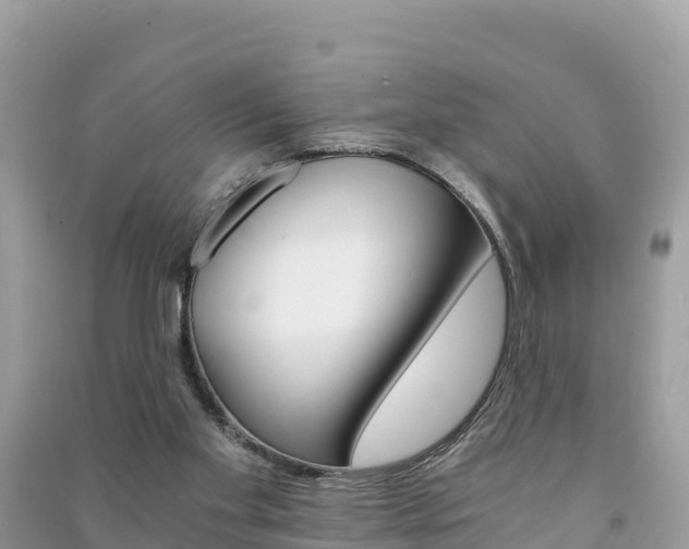 X0000091300109200708101056