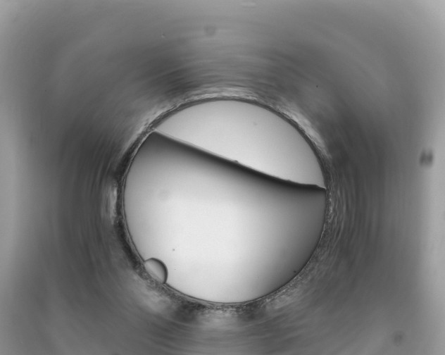 X0000091300110200708101056