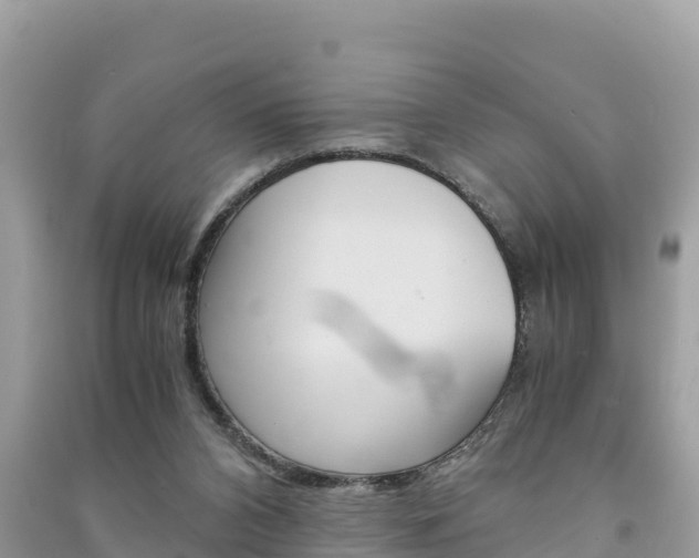 X0000091300112200708101056