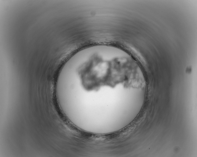 X0000091300113200708101056
