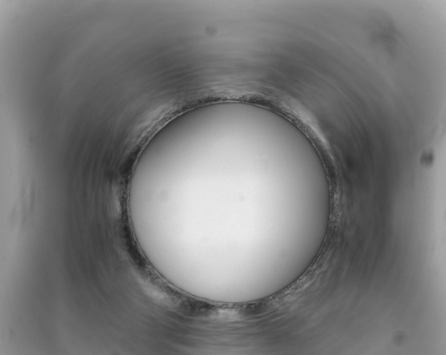 X0000091300114200708101056