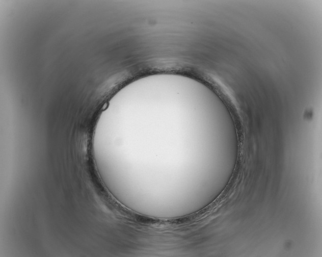 X0000091300115200708101056