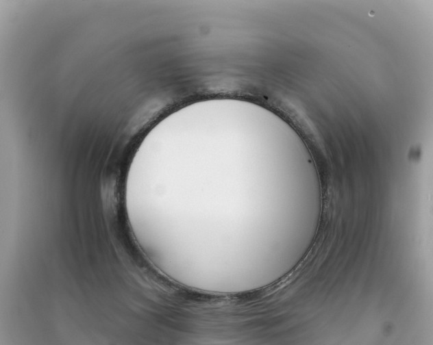 X0000091300116200708101056