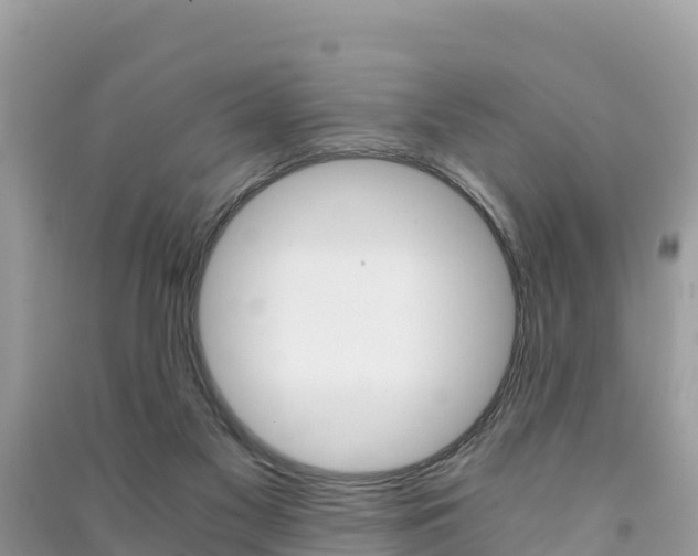 X0000091300117200708101056