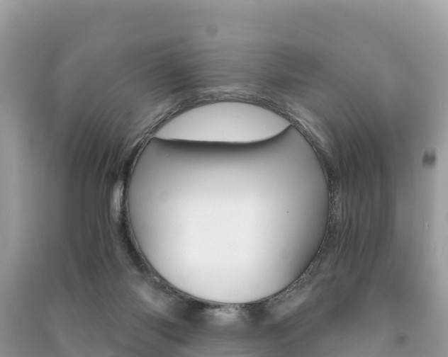 X0000091300118200708101056