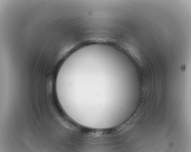 X0000091300120200708101056