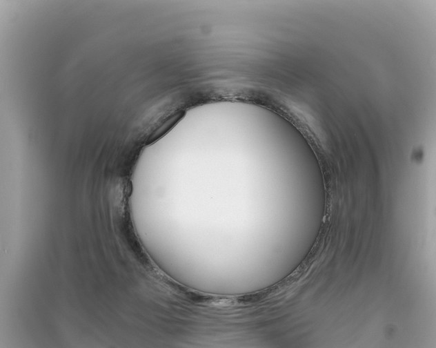 X0000091300121200708101056