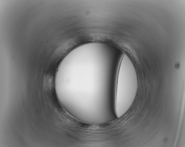 X0000091300123200708101056