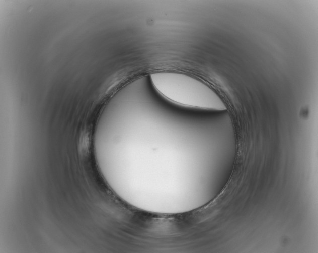 X0000091300124200708101056