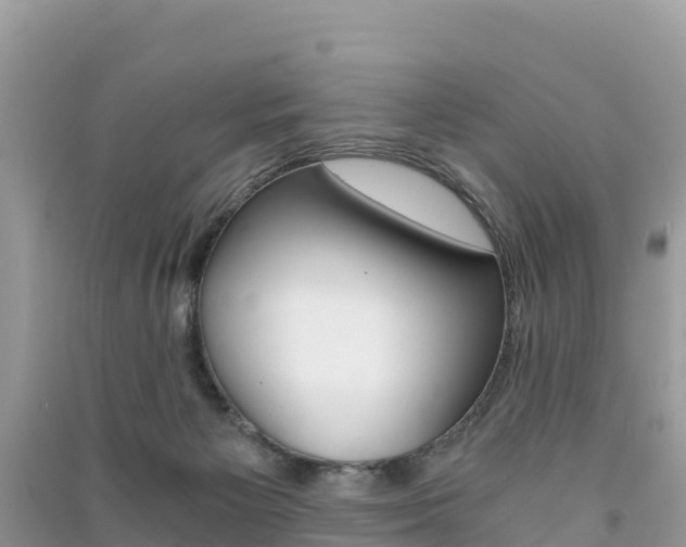 X0000091300125200708101056
