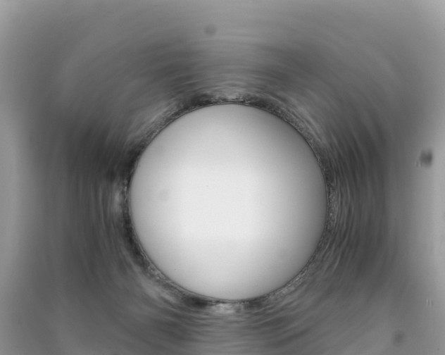 X0000091300126200708101056