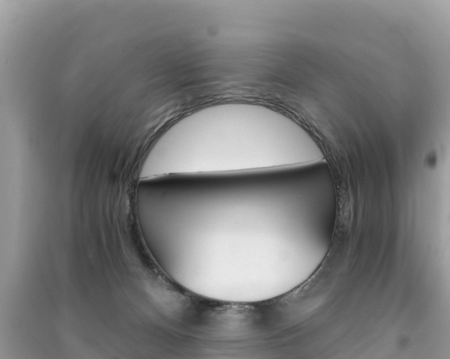 X0000091300128200708101056