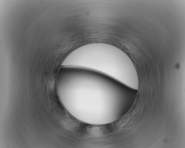 X0000091300129200708101056