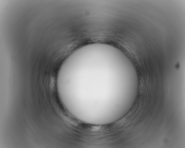 X0000091300130200708101056
