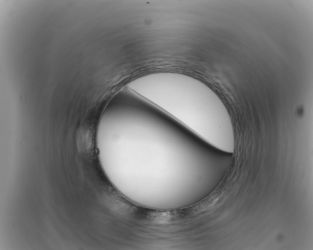 X0000091300131200708101056
