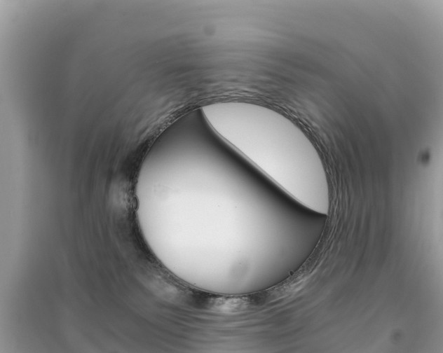 X0000091300135200708101056