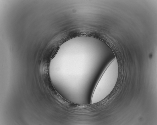 X0000091300137200708101056