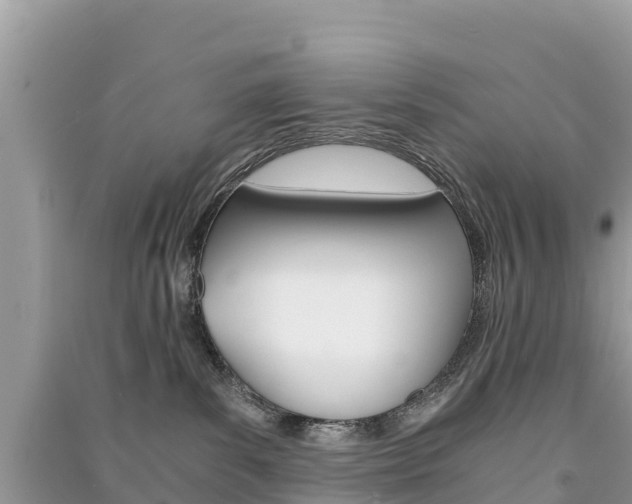 X0000091300139200708101056