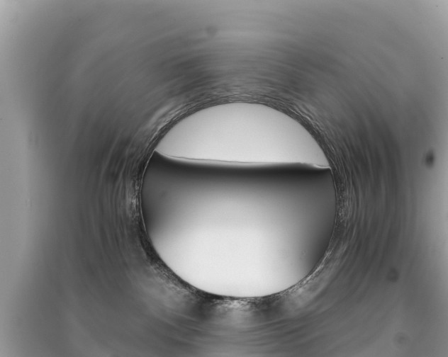 X0000091300140200708101056