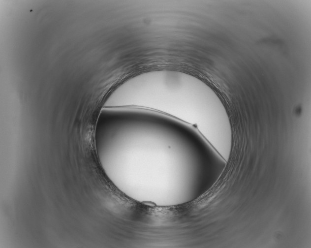 X0000091300141200708101056