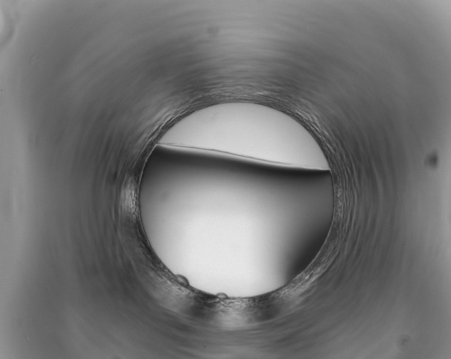 X0000091300143200708101056