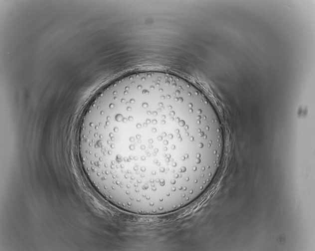 X0000091300145200708101055