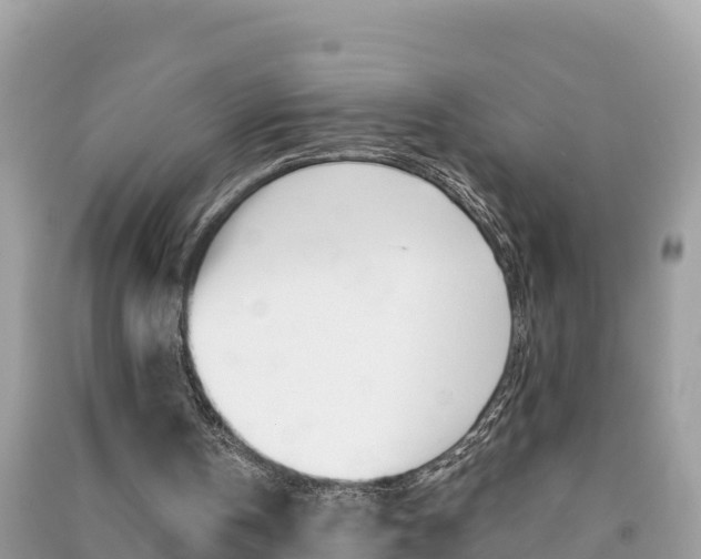 X0000091300146200708101055