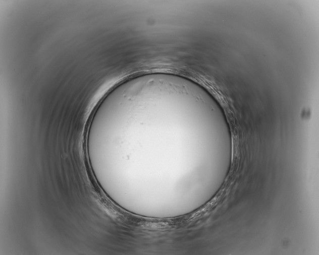 X0000091300147200708101055