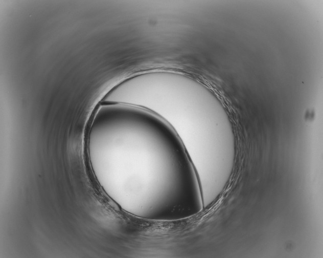 X0000091300148200708101055