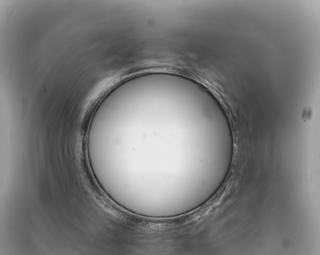 X0000091300149200708101055