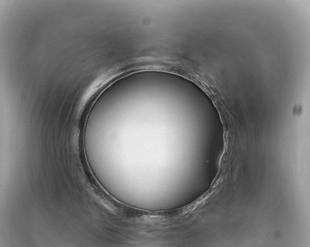 X0000091300150200708101055
