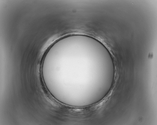 X0000091300151200708101055