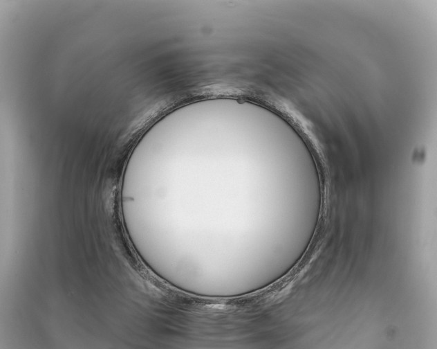 X0000091300153200708101055