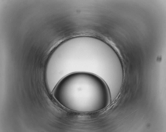 X0000091300154200708101055